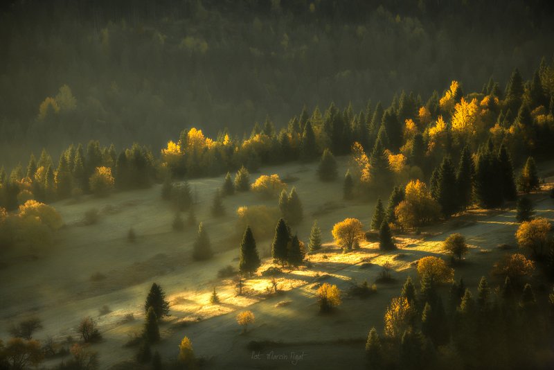 In the fields of Osturnia. фото превью