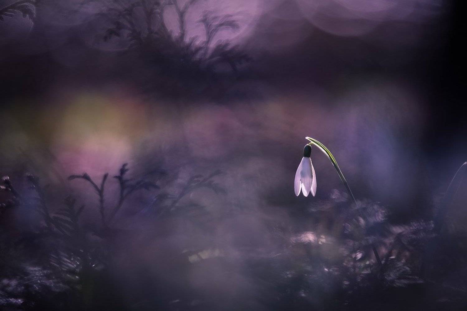 , Вячеслав Мищенко