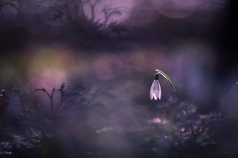 Весна это новая жизнь фото превью