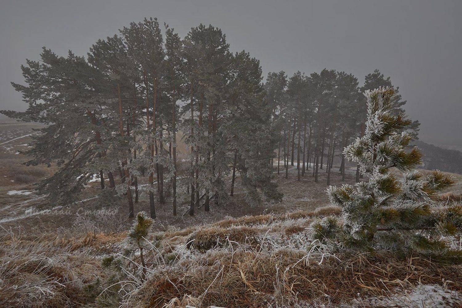 кавказ, горы, туман, март, Николай Стюбко