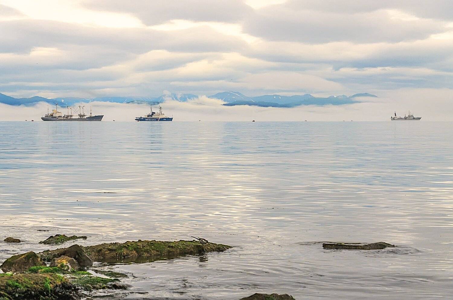 авачинская бухта камчатка, Александр Березуцкий