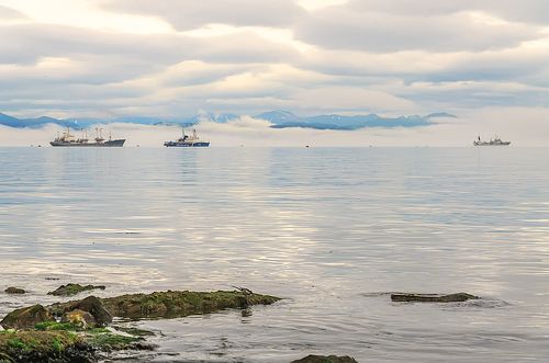 Будни Авачинской бухты