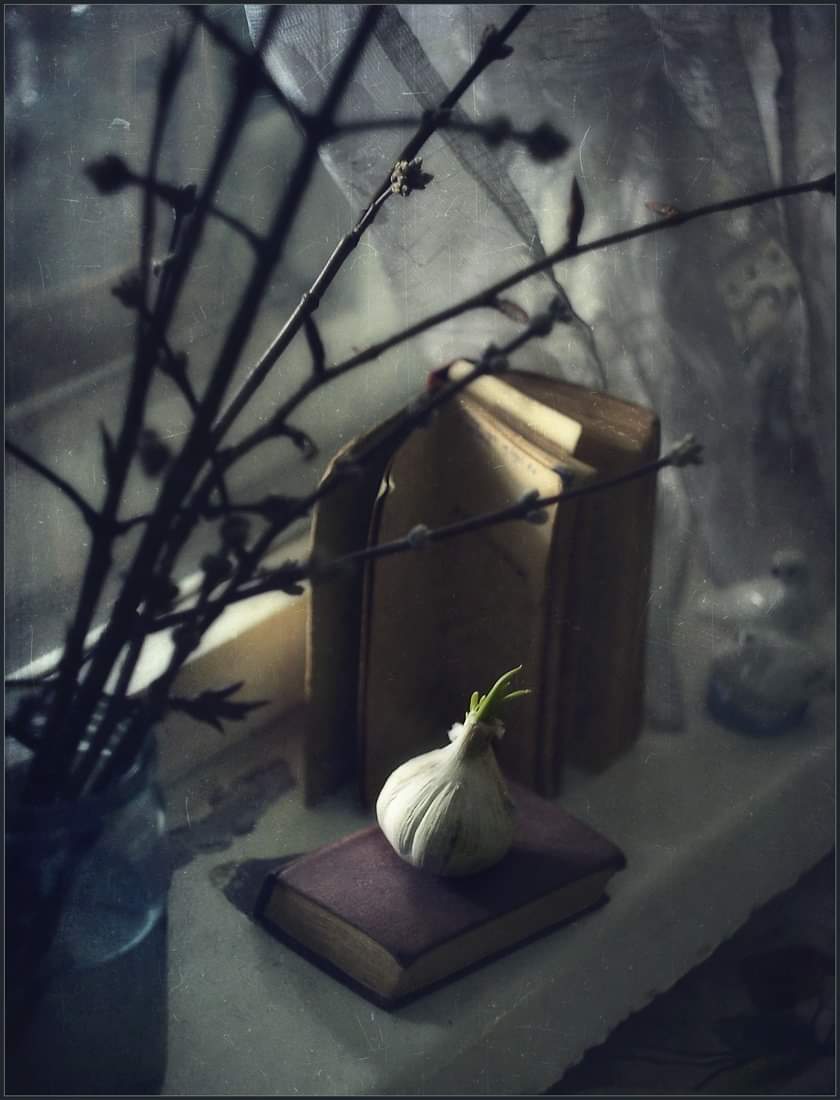 , Александр Хромеев