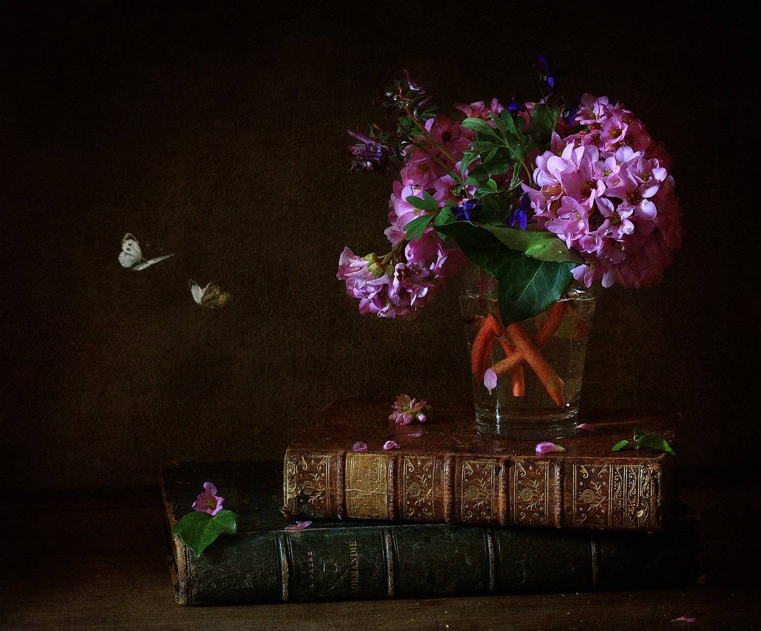 натюрморт, Рита Гончаренко