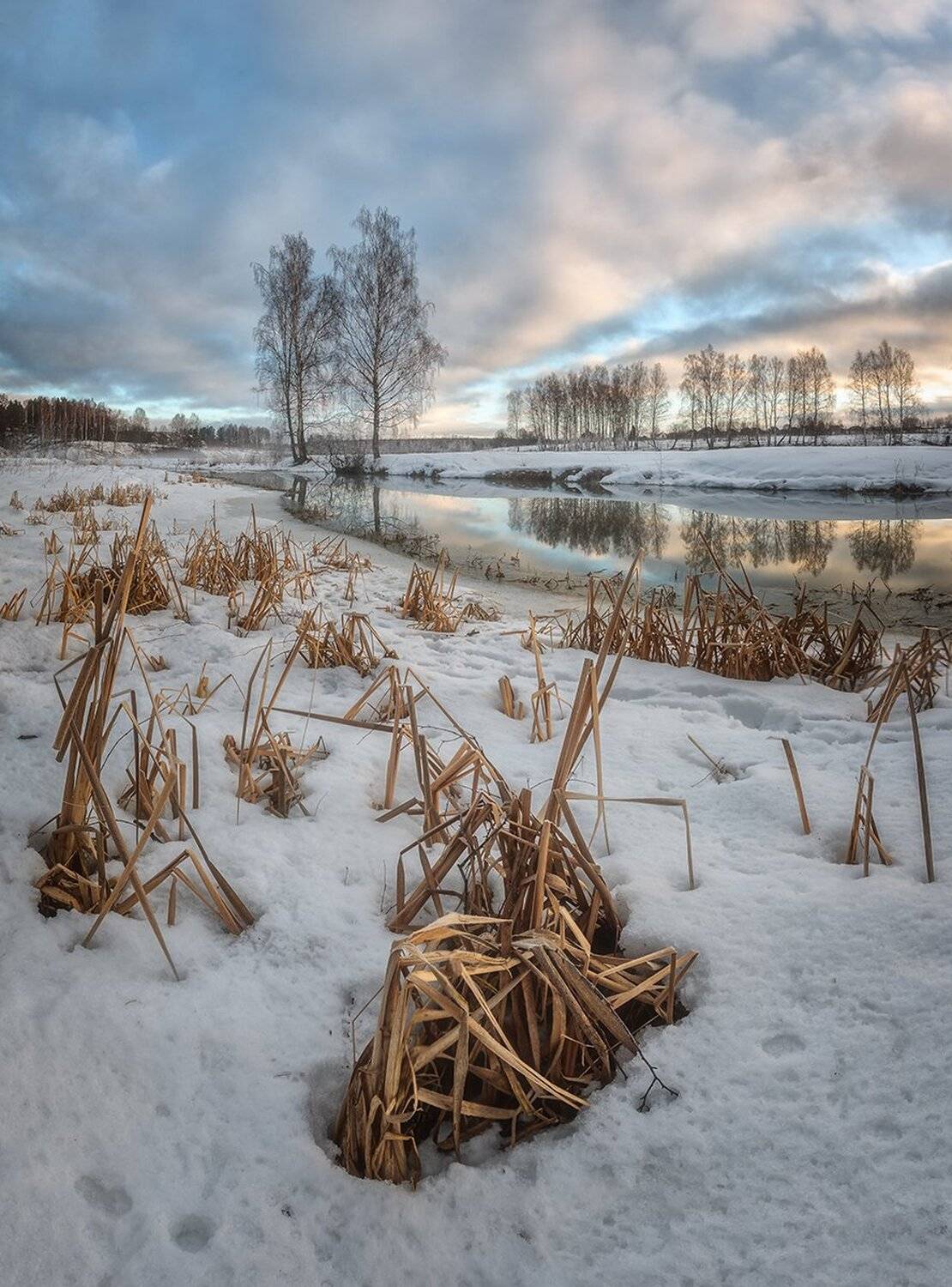 , Николай Андреев