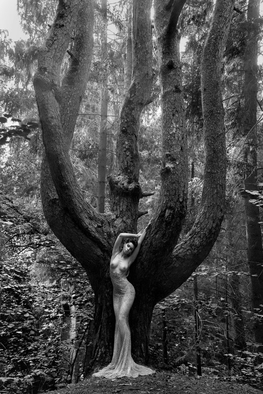 Там лес и дол видений полны... фото превью