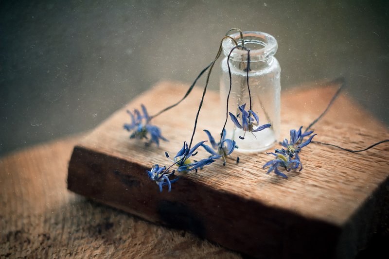 пролески, натюрморт, боке, цветы, брызги, вода, дерево, сухие, бутылка, банка, стекло, красивый, грусть Грустные цветы фото превью