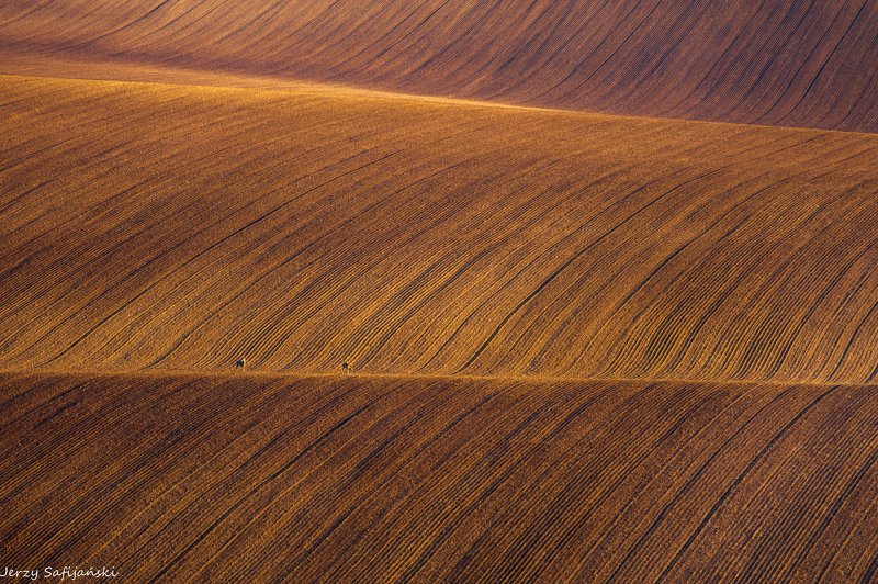 I walk around Moravia фото превью