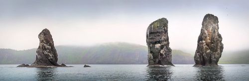 Тихий океан. Побережье Камчатки...