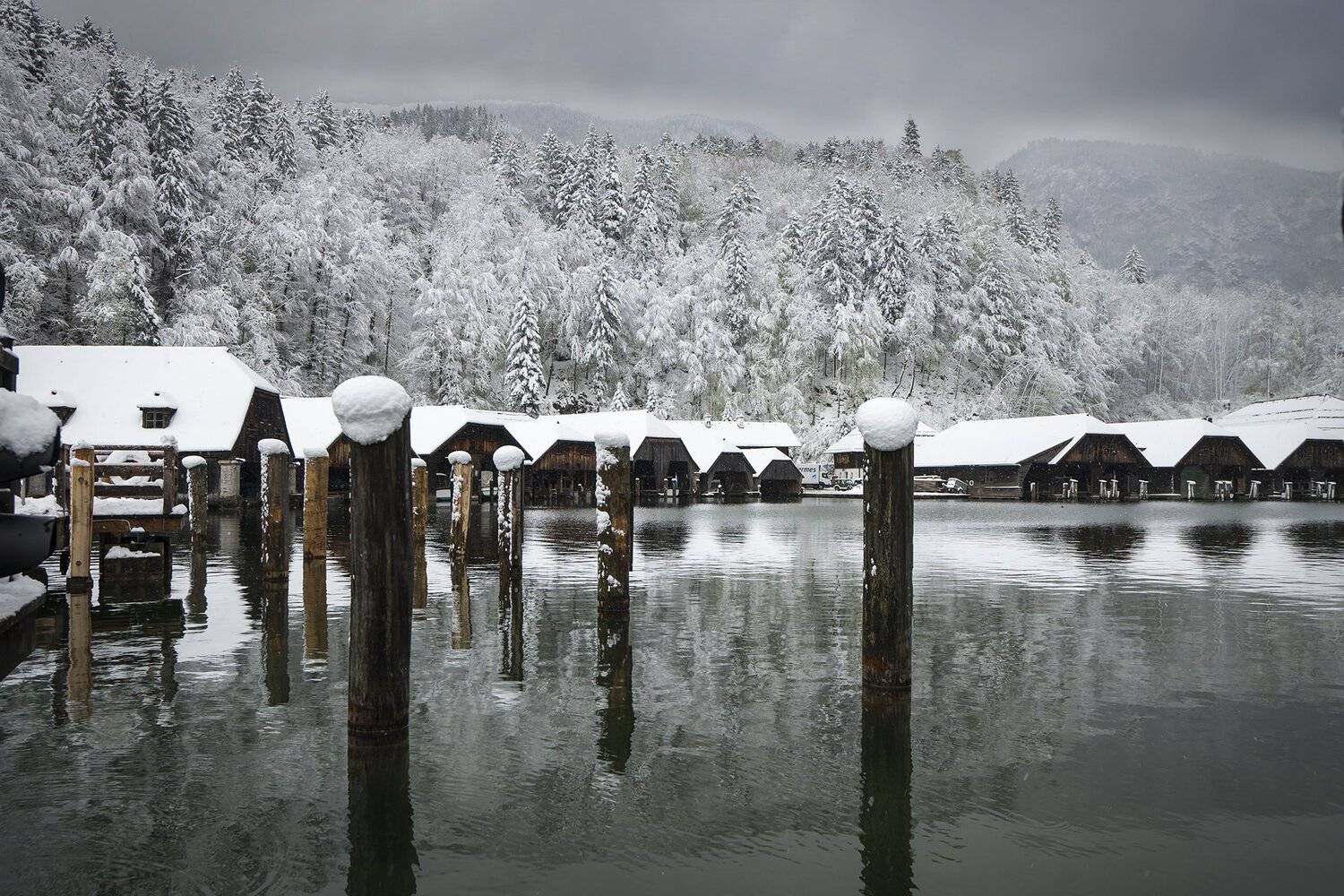 , Владислав