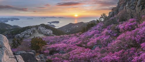 Spring of daegeumsan