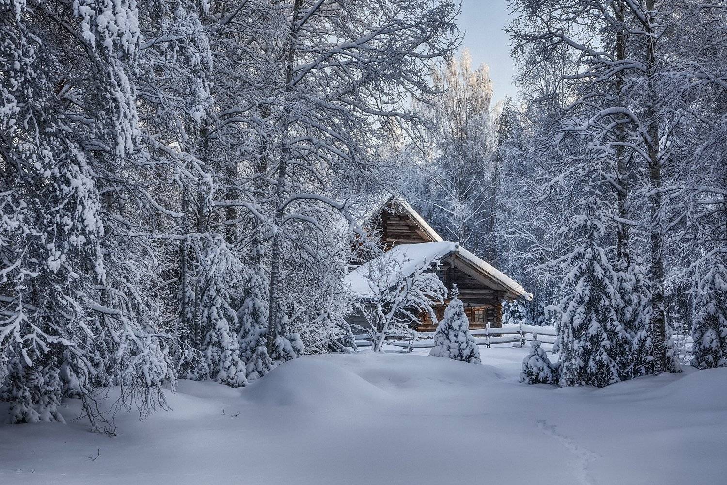 зима снег иней лес деревья елки сосны избушка изгородь сугробы следы, Ра Вера