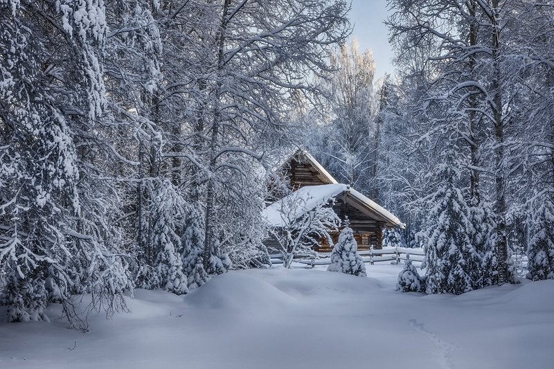 зима снег иней лес деревья елки сосны избушка изгородь сугробы следы В застывшем лесу фото превью