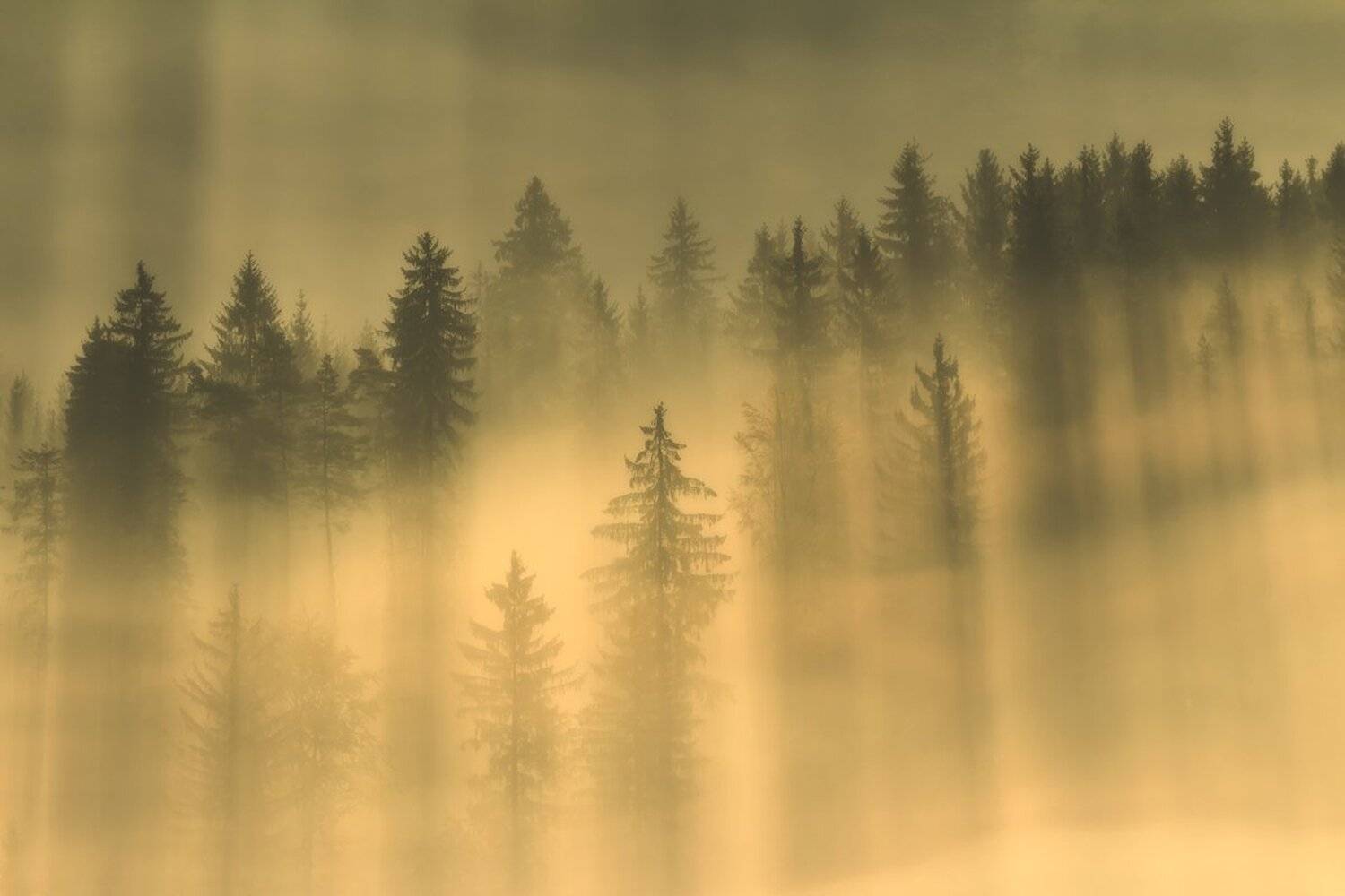 winter,mountains,canon,sunrise, Iza i Darek Mitręga