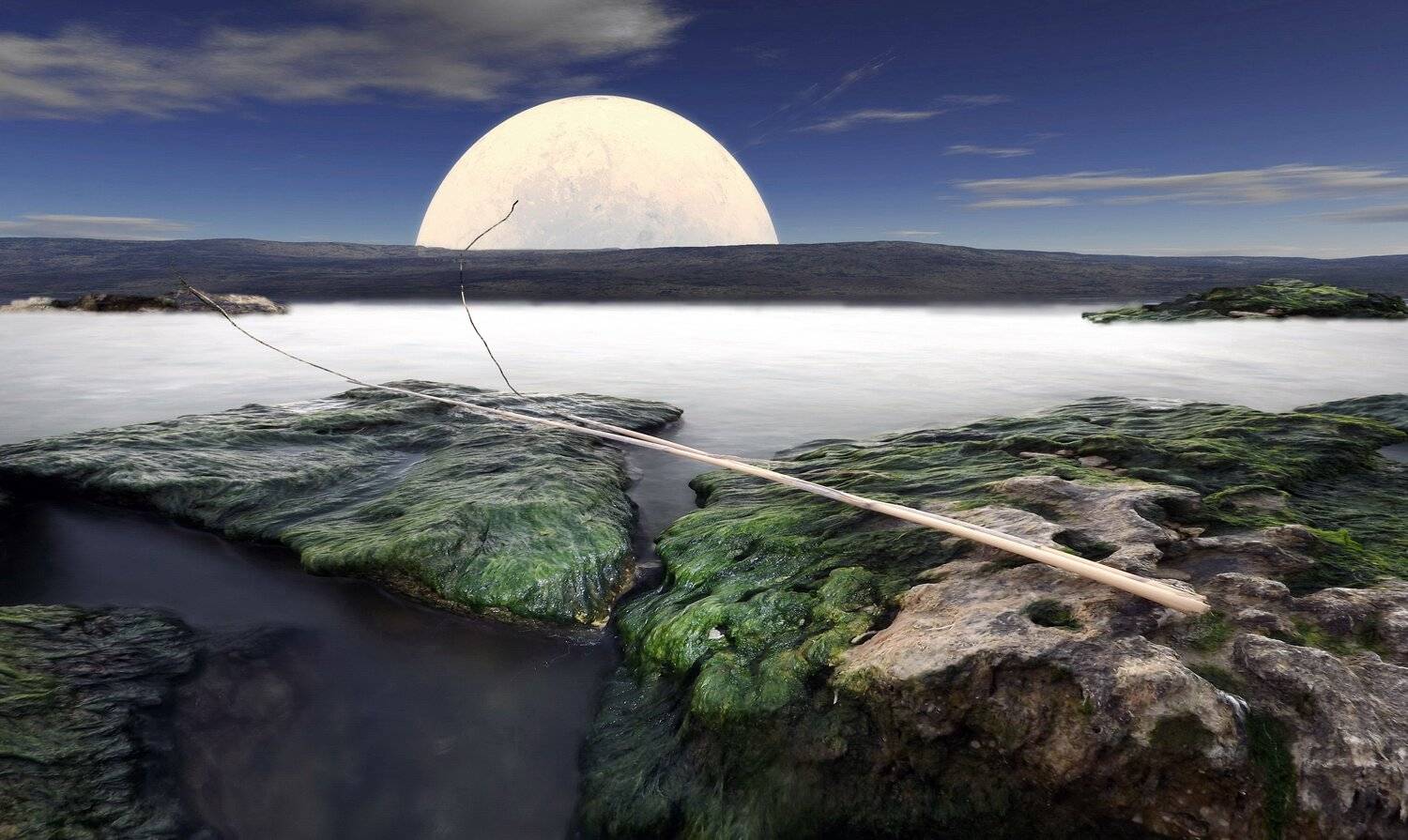 одесса, Сергей Кошелев