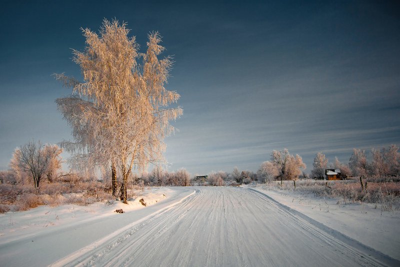 зима, дерево, береза, дорога Зимушка фото превью