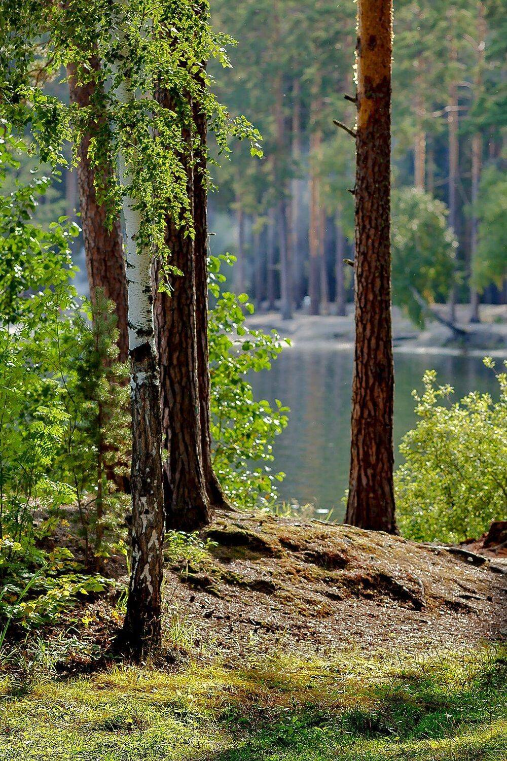 озеро тургояк, южный урал,, Сергей Евдокимов