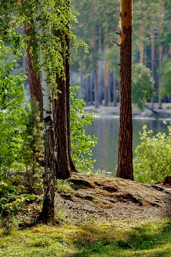 Природа Южного Урала