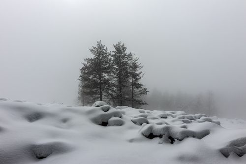 in the white fog...