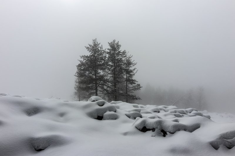in the white fog... фото превью