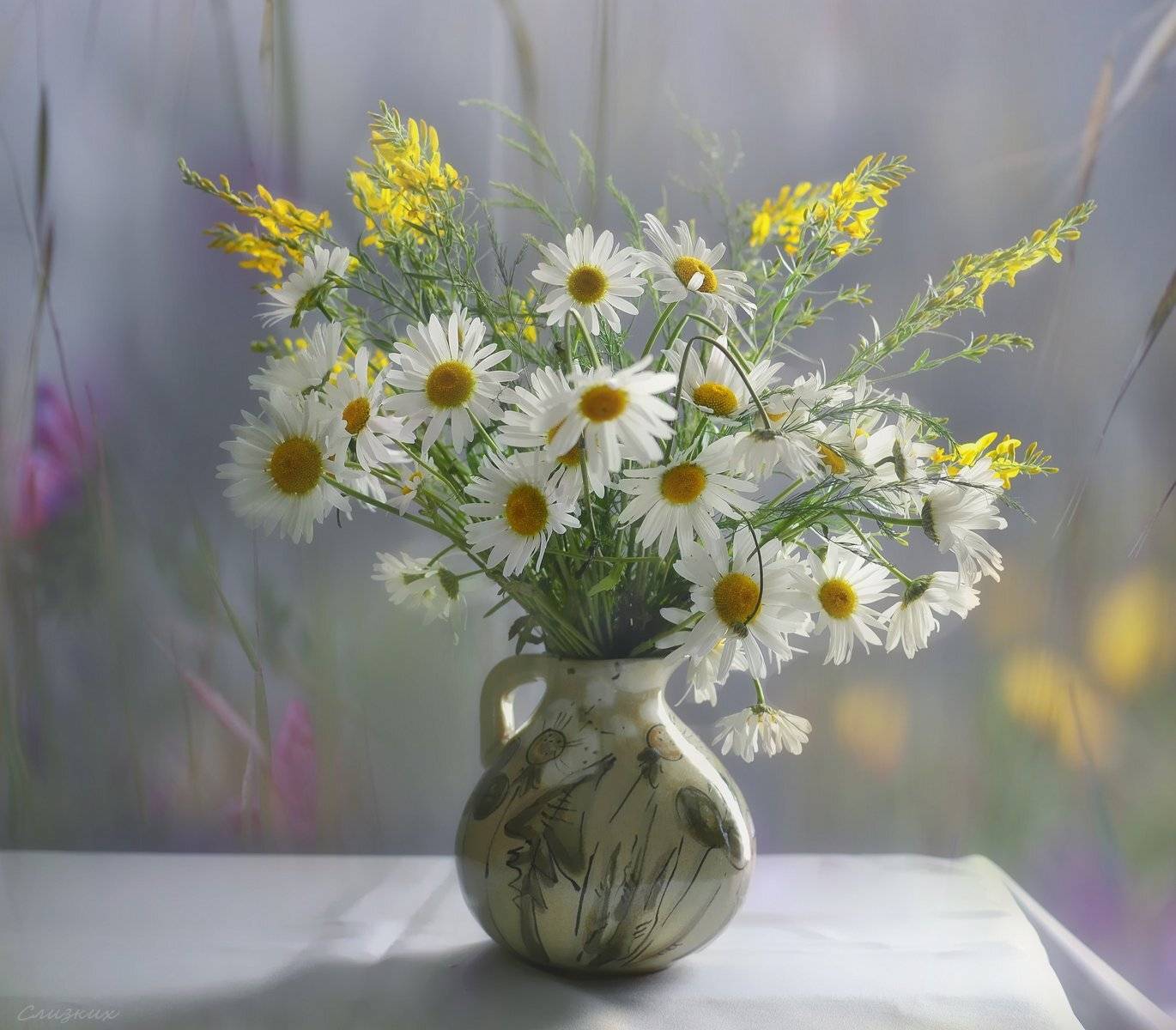 натюрморт,композиция,свет,лето,букет,ромашки, Инаида