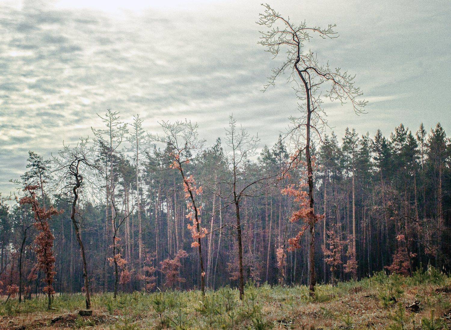 , александр