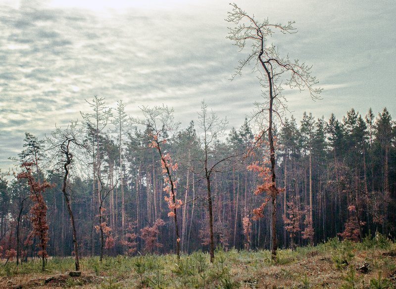 ** фото превью