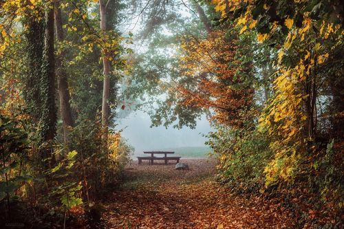 Autumn's Embrace