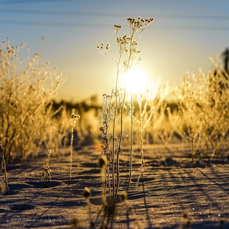 Морозное утро фото превью