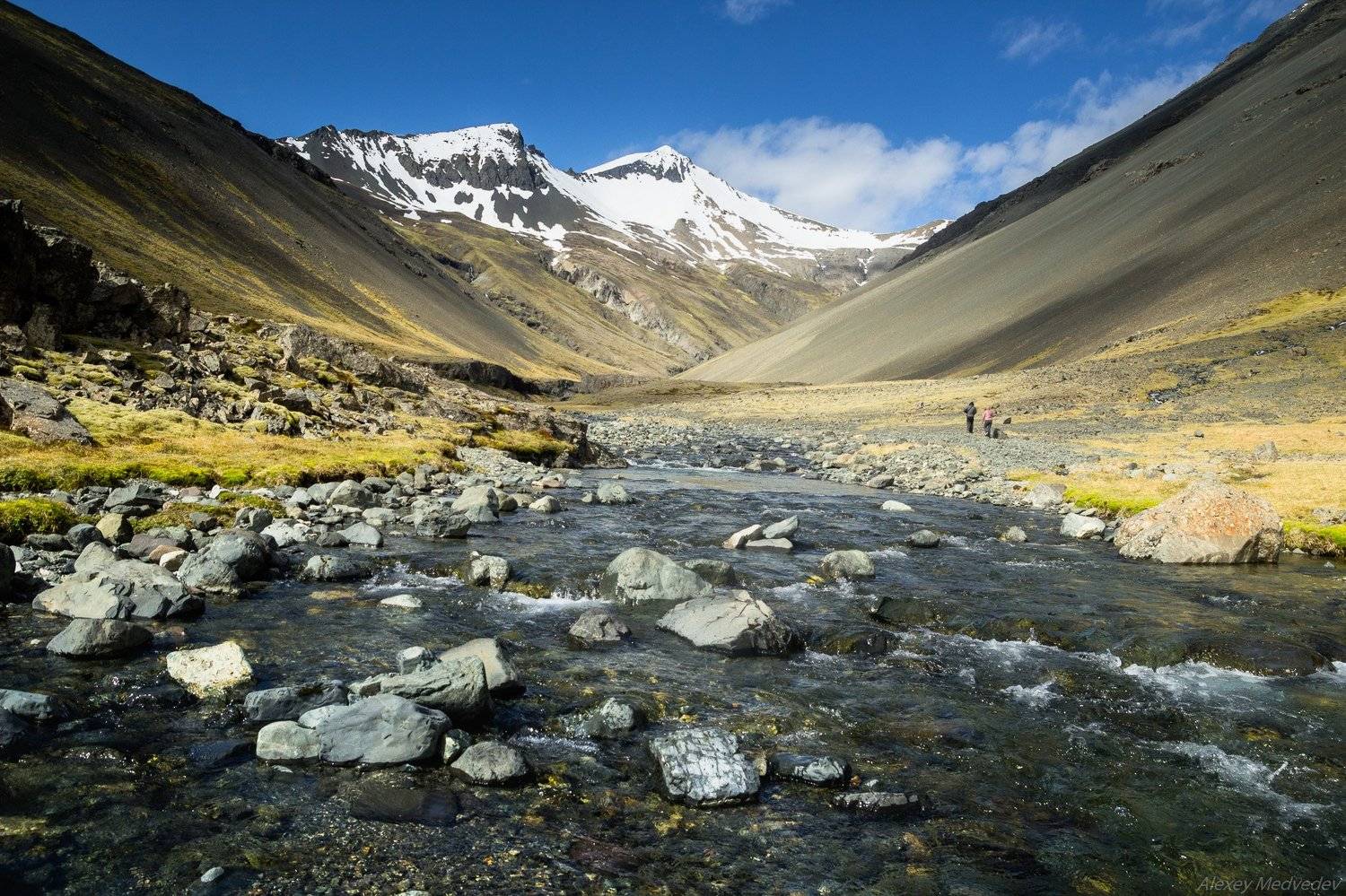 Исландия, Алексей Медведев