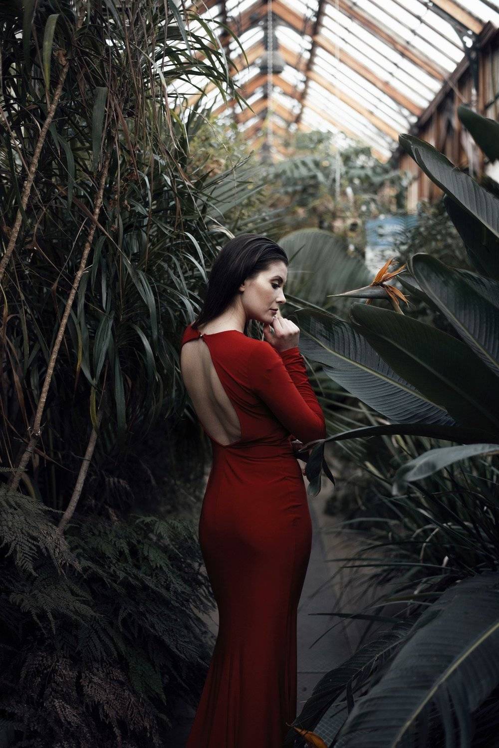 red dress gardens green , Rafal Lapszanski