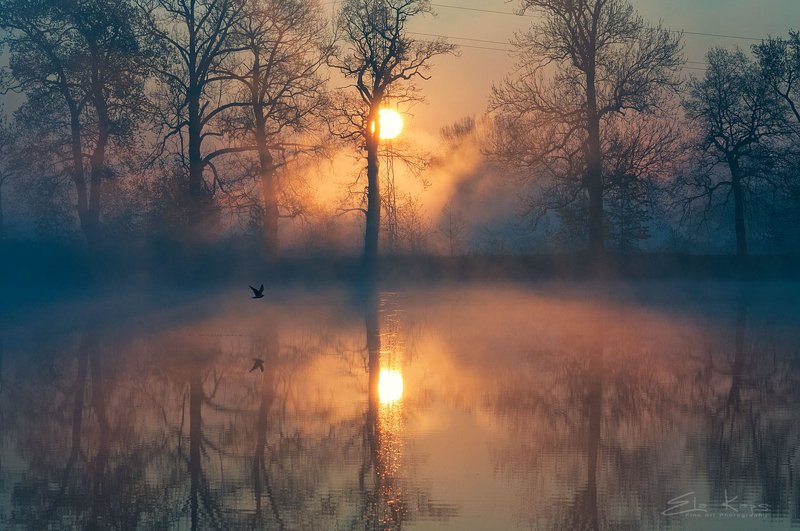wiosna,spring,poland,mist,landscape, Wiosenny poranek фото превью
