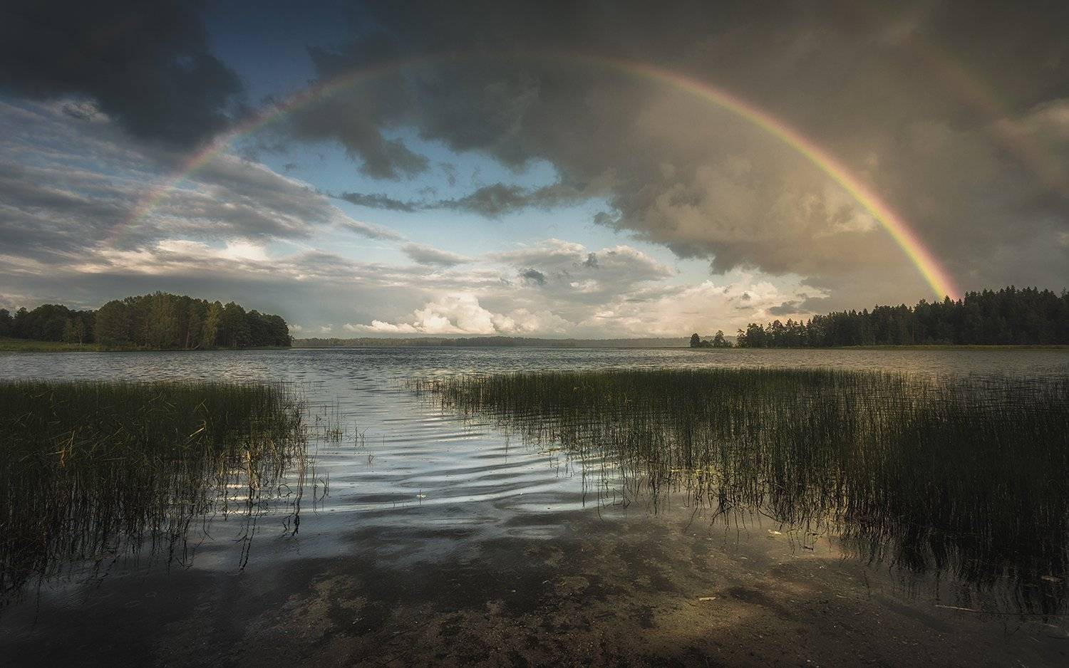 , Олег Дунаев