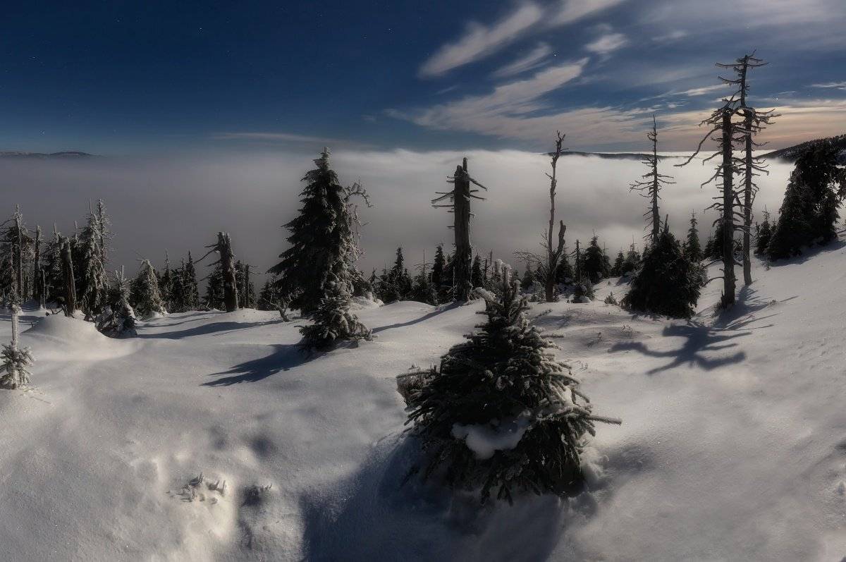 landscape, tree, moonlight, panorama, fog, Petr Fiala