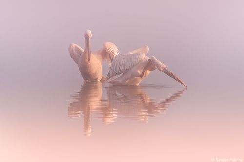 - Послушай Тишину !