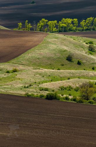 Весенние поля