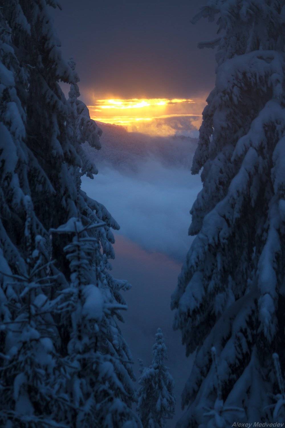 карпати, свидовець, карпаты, украина, Алексей Медведев