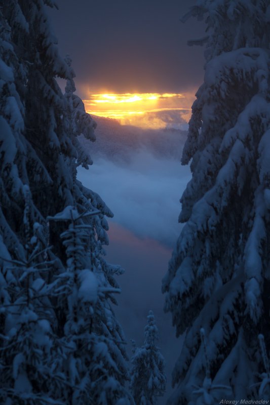 карпати, свидовець, карпаты, украина *** фото превью