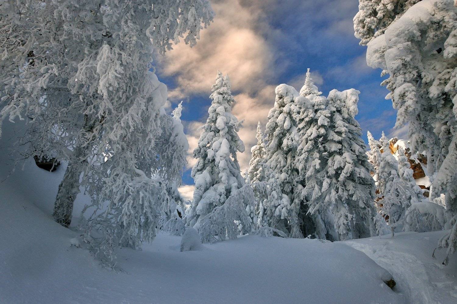 , Клековкин Алексей