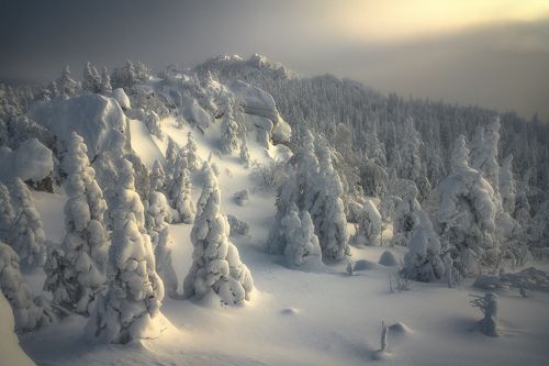 Стражники зимы