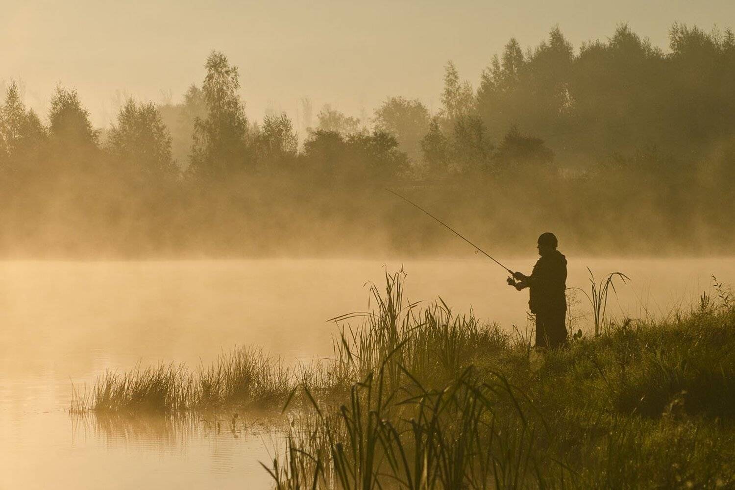 утро, рыбак, коптево, Михаил Агеев