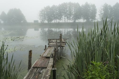 Утро в тумане