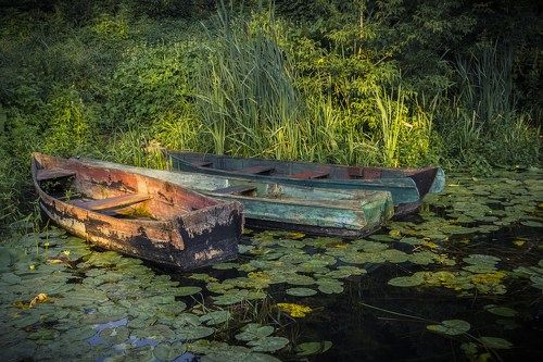 Трио на рассвете