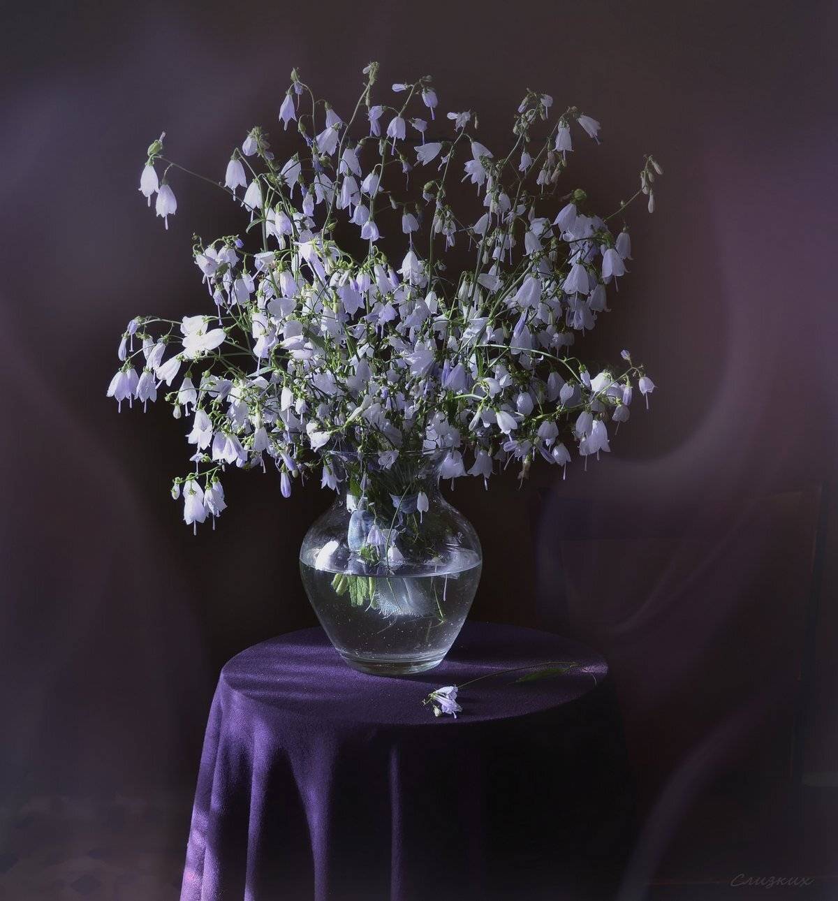 натюрморт,композиция,свет,лето,букет,колокольчик,ваза, Инаида