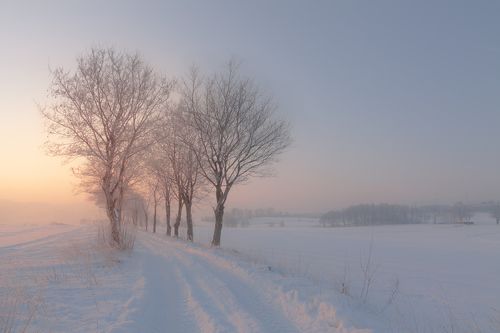 Polish Roads.....