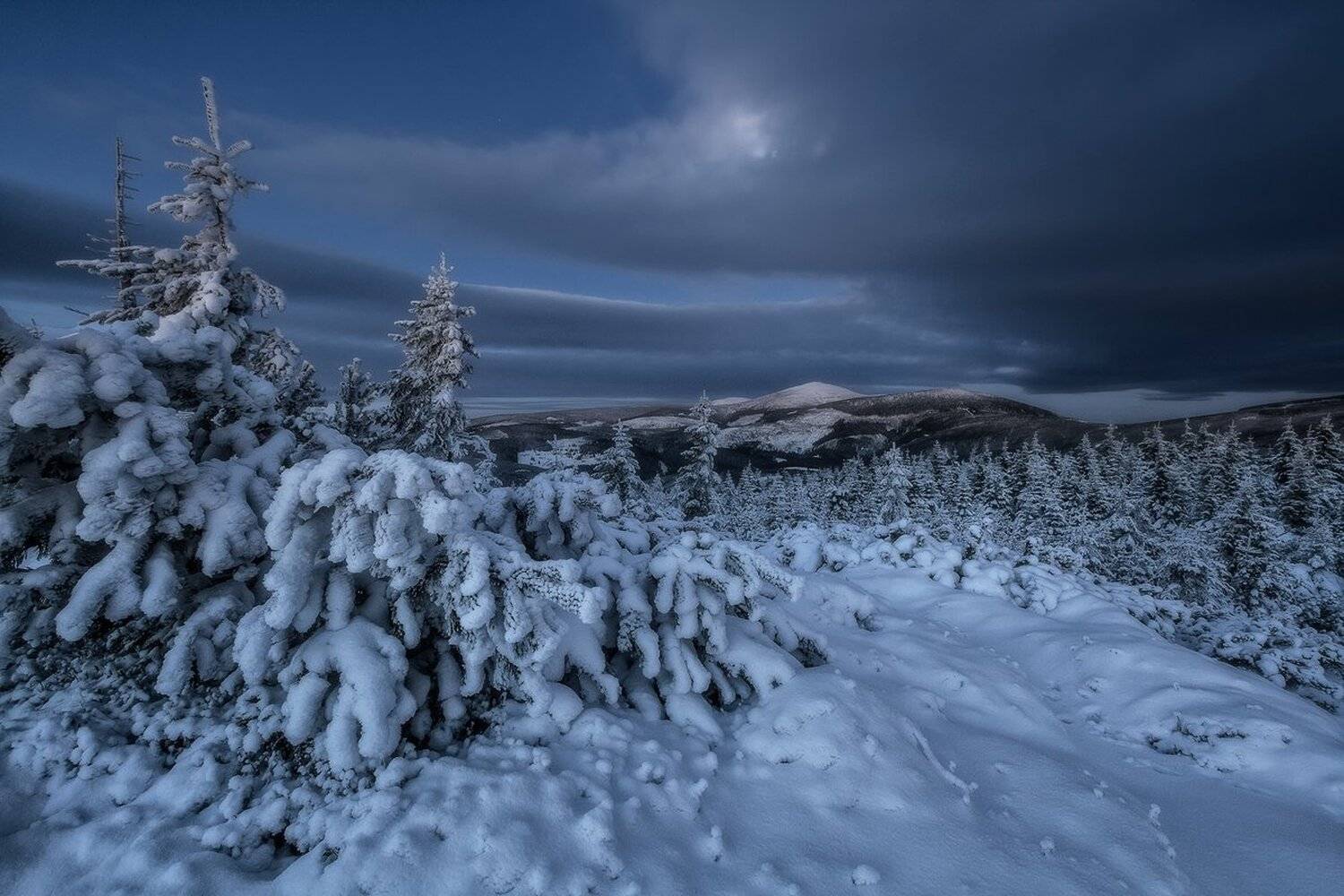 , Iza i Darek Mitręga