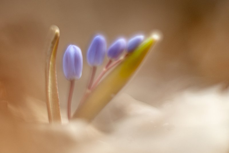 Так рождаются облака... фото превью