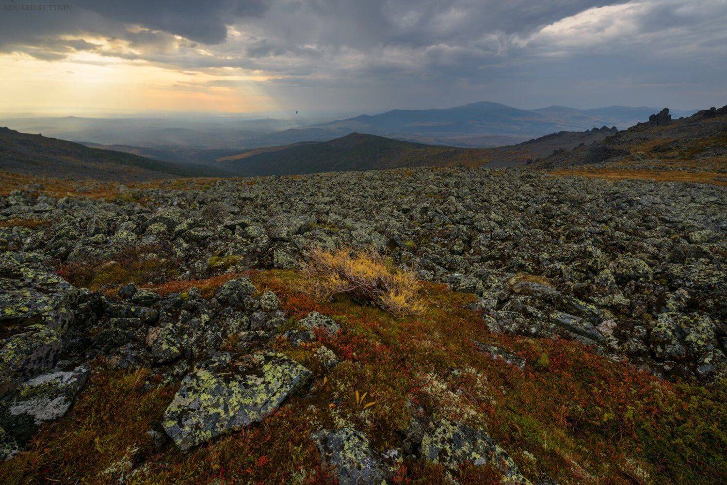 , Кутыгин Эдуард