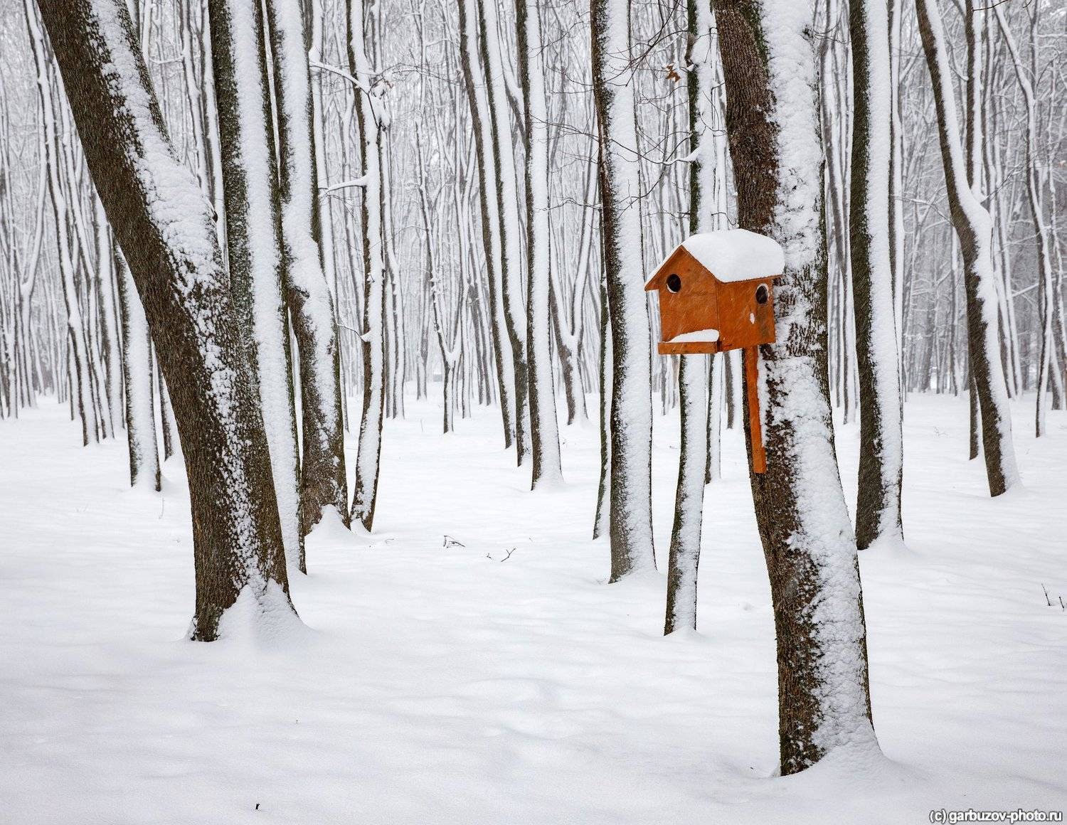 , Гарбузов Илья