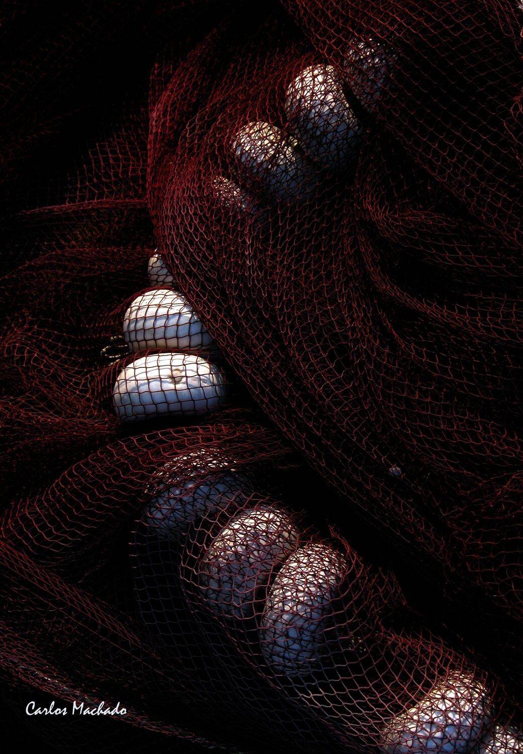 Abstraction, Still Life, Macro, Carlos Machado